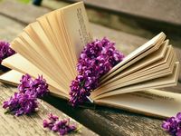 Il Cammino dei poeti. Laboratorio sul linguaggio Poetico